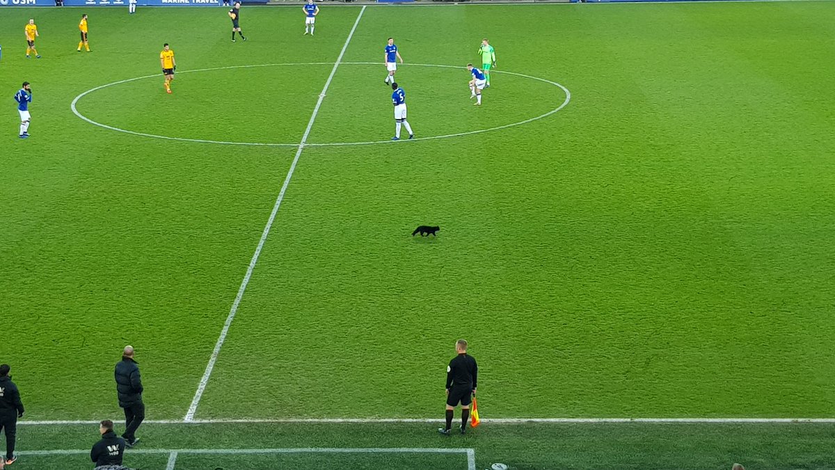 New signing for Wolves makes his debut at Everton.