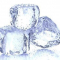 Ice Ice Wolf avatar